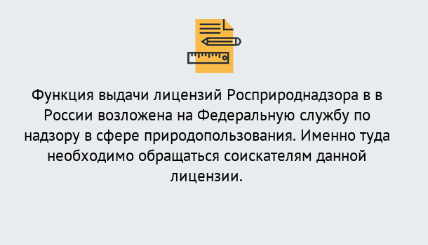 Почему нужно обратиться к нам? Выкса Лицензия Росприроднадзора. Под ключ! в Выкса