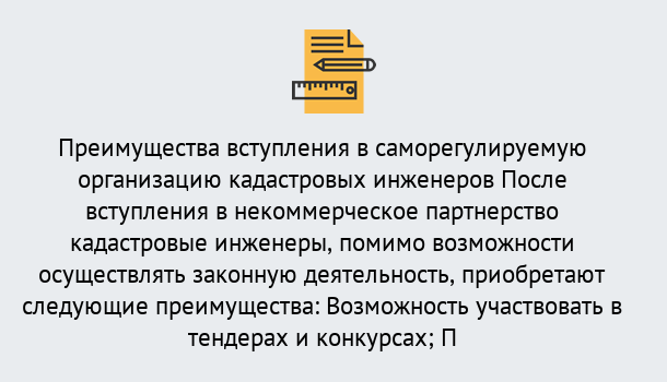 Почему нужно обратиться к нам? Выкса Что дает допуск СРО кадастровых инженеров?