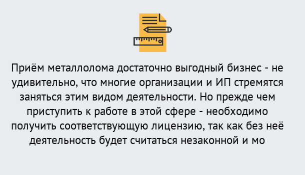 Почему нужно обратиться к нам? Выкса Лицензия на металлолом. Порядок получения лицензии. В Выкса