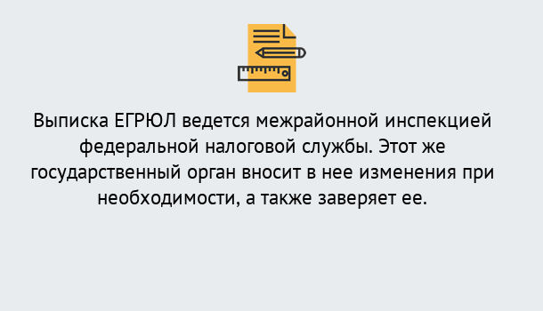 Почему нужно обратиться к нам? Выкса Выписка ЕГРЮЛ в Выкса ?