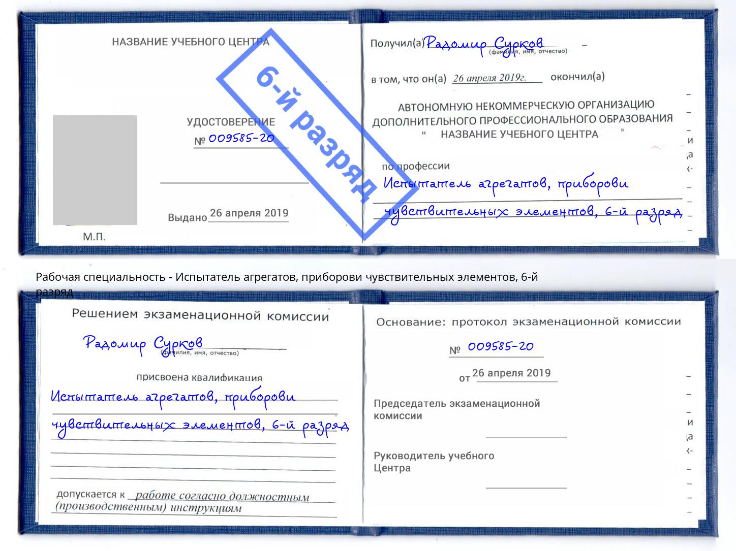 корочка 6-й разряд Испытатель агрегатов, приборови чувствительных элементов Выкса