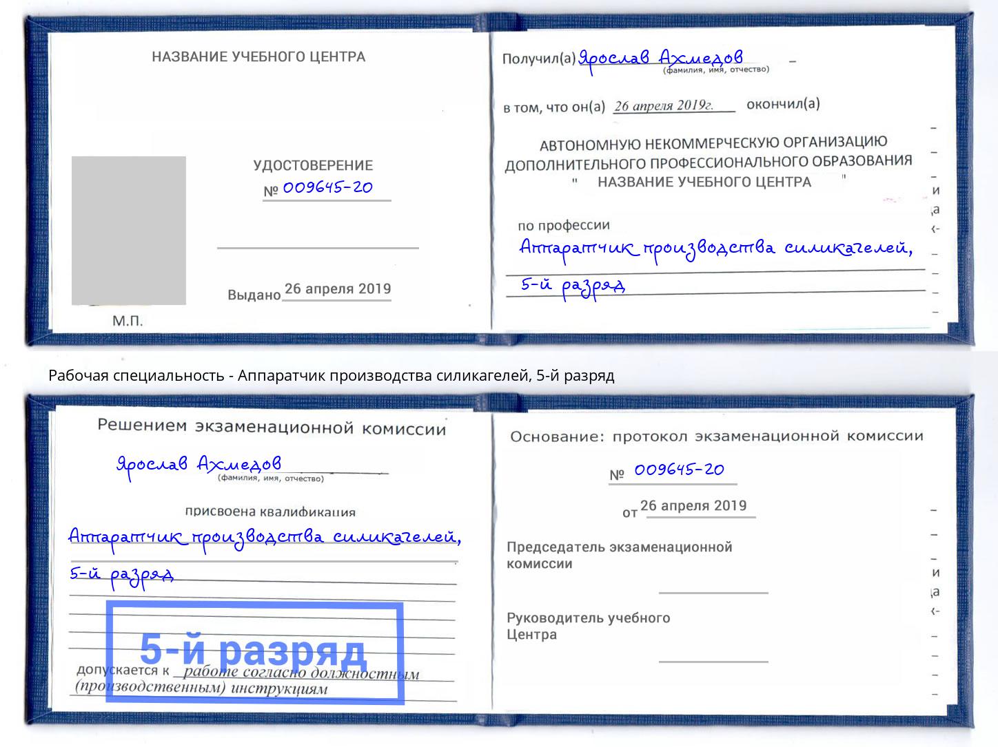 корочка 5-й разряд Аппаратчик производства силикагелей Выкса