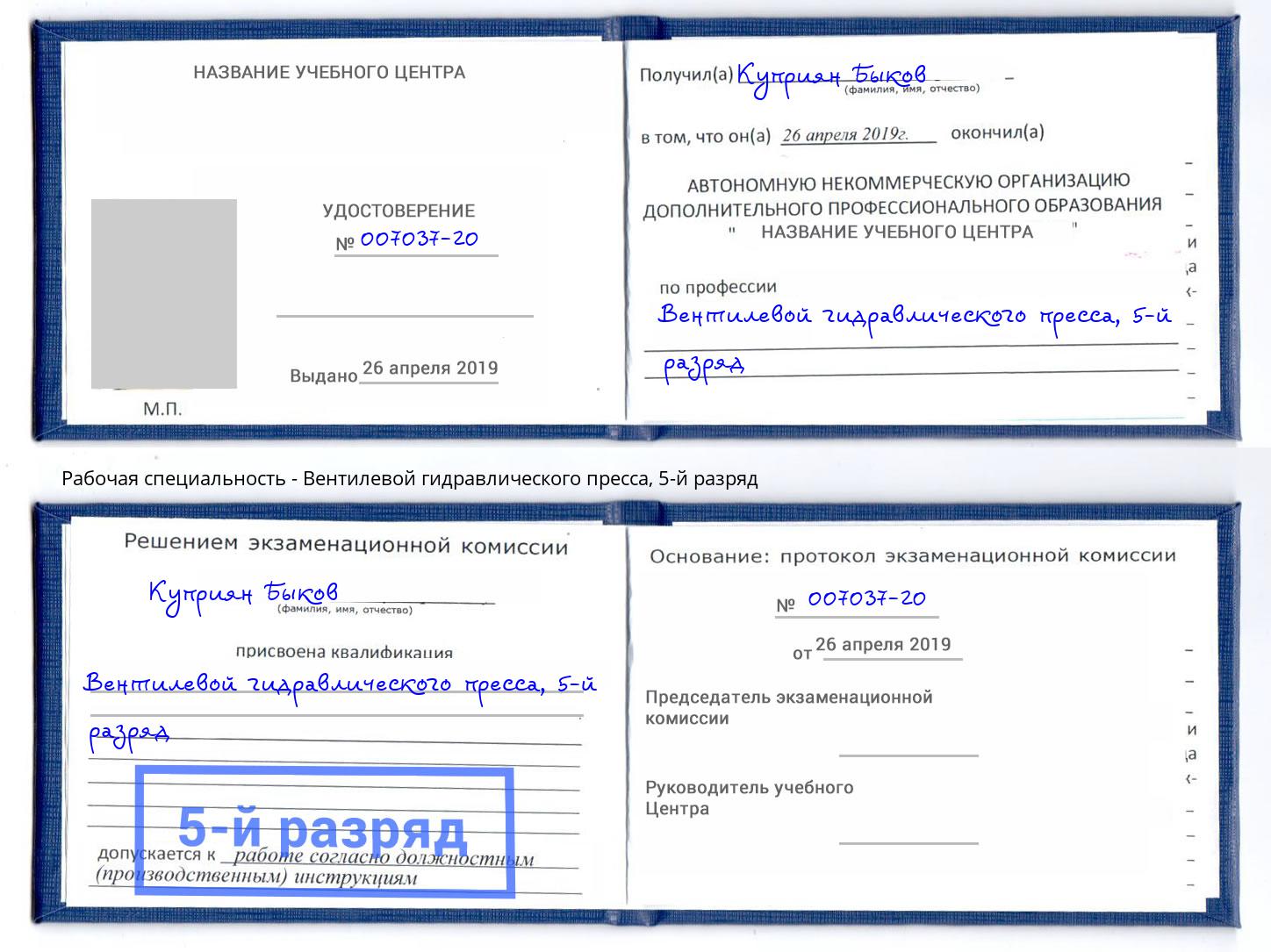 корочка 5-й разряд Вентилевой гидравлического пресса Выкса