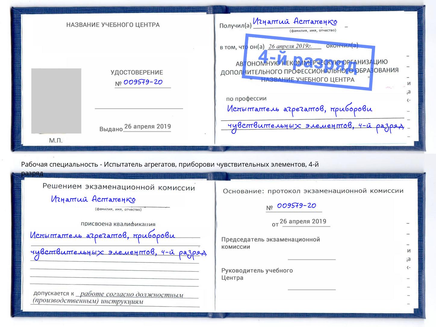 корочка 4-й разряд Испытатель агрегатов, приборови чувствительных элементов Выкса