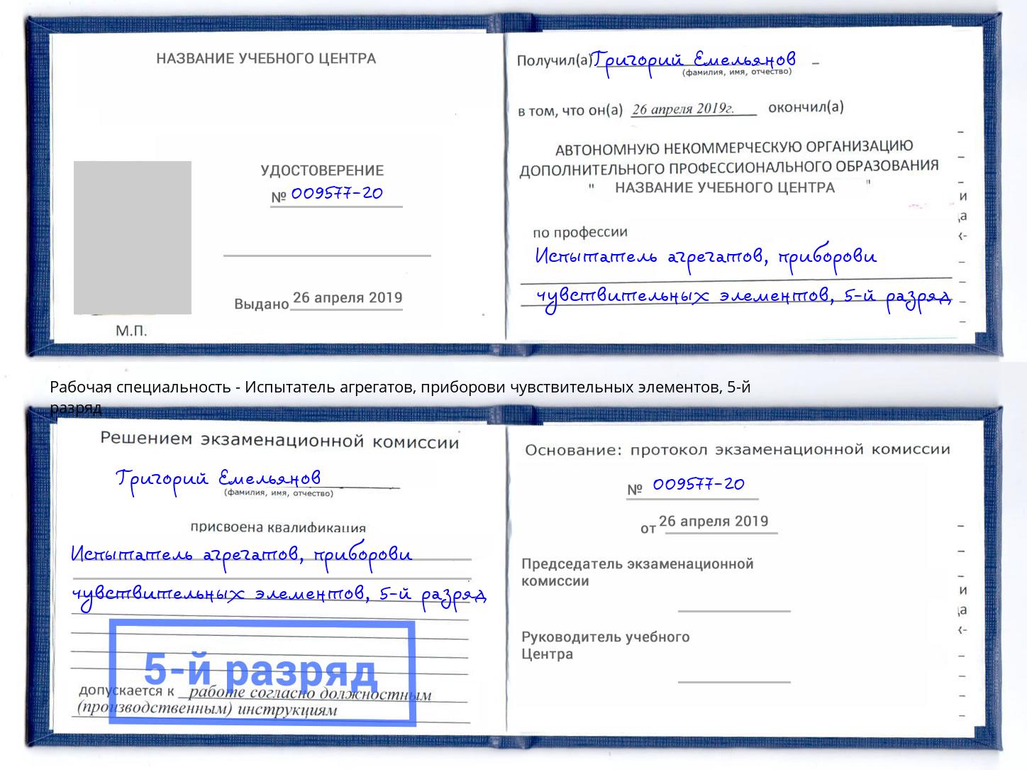 корочка 5-й разряд Испытатель агрегатов, приборови чувствительных элементов Выкса
