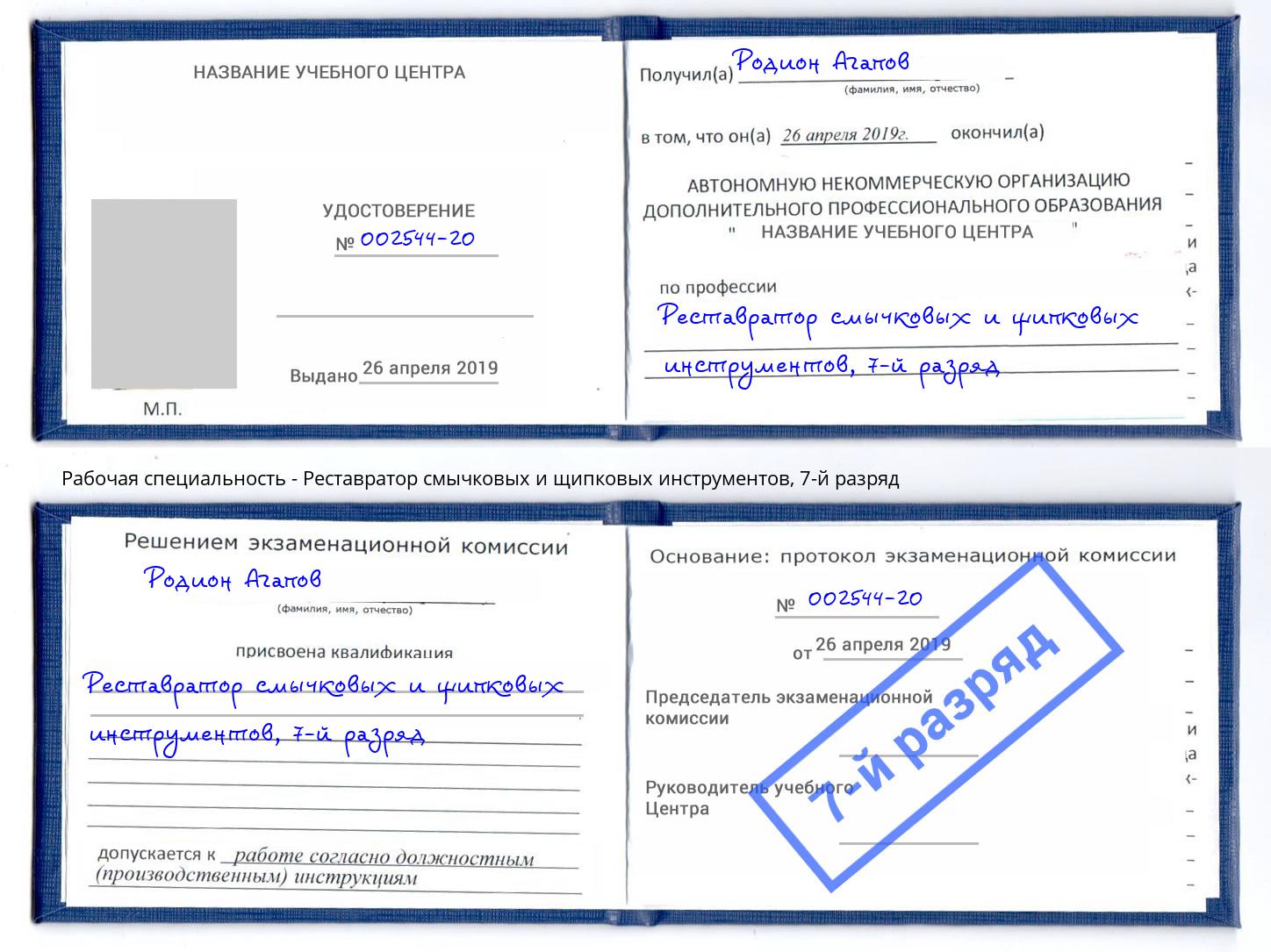 корочка 7-й разряд Реставратор смычковых и щипковых инструментов Выкса