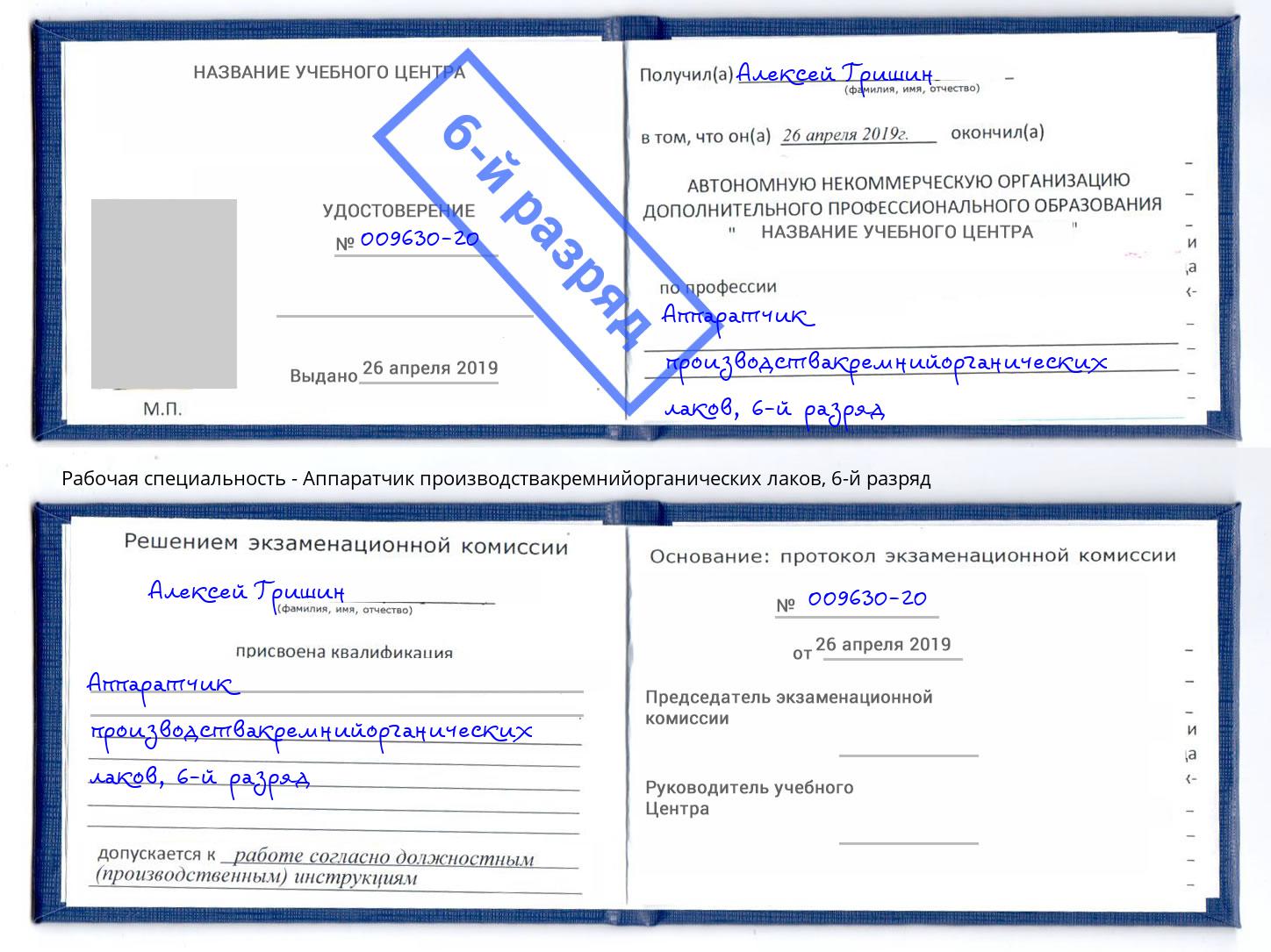 корочка 6-й разряд Аппаратчик производствакремнийорганических лаков Выкса