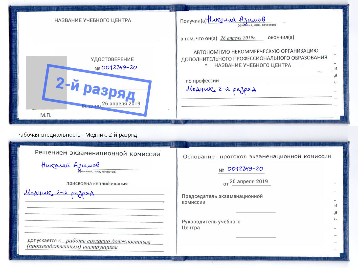 корочка 2-й разряд Медник Выкса