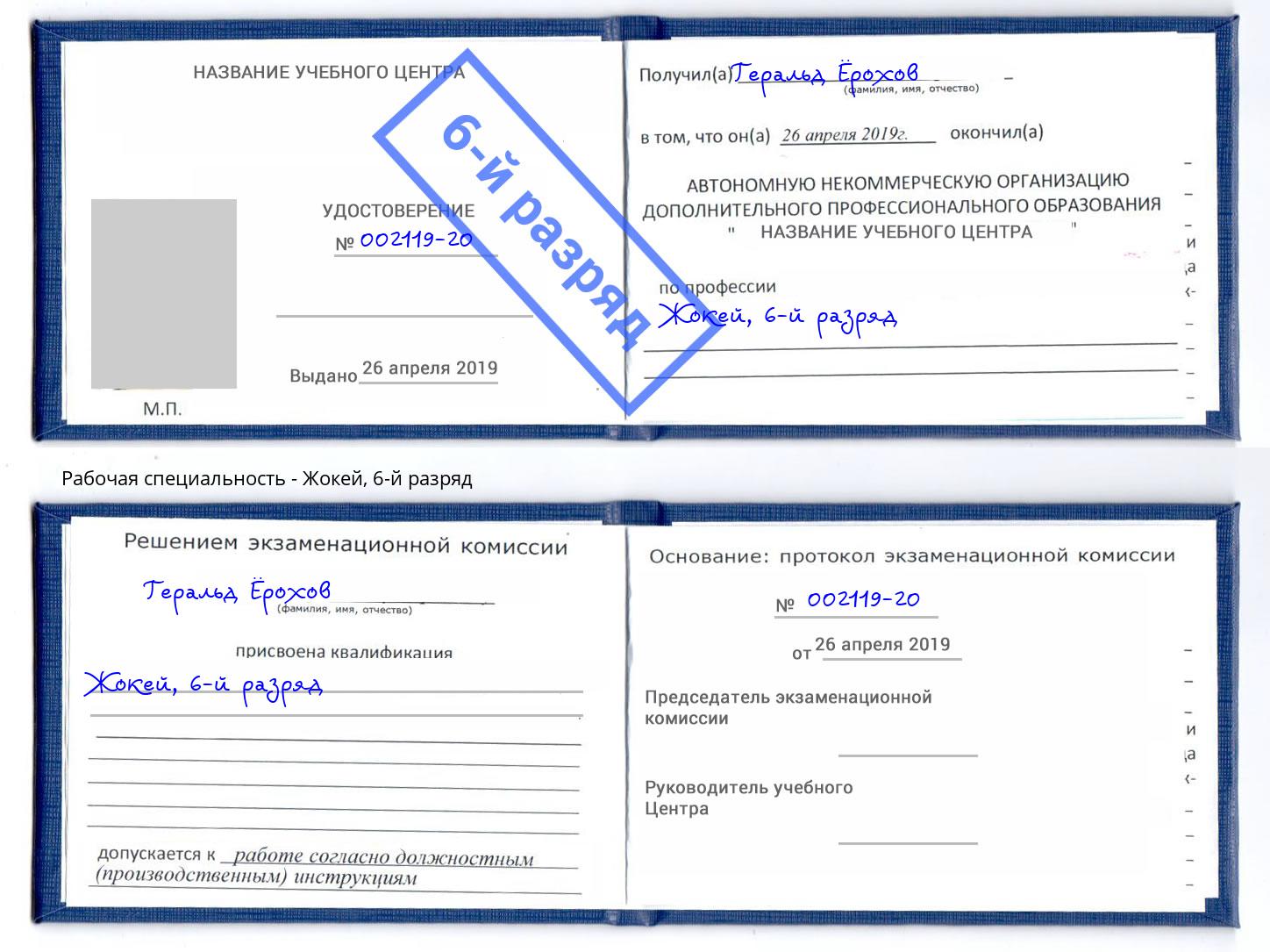 корочка 6-й разряд Жокей Выкса