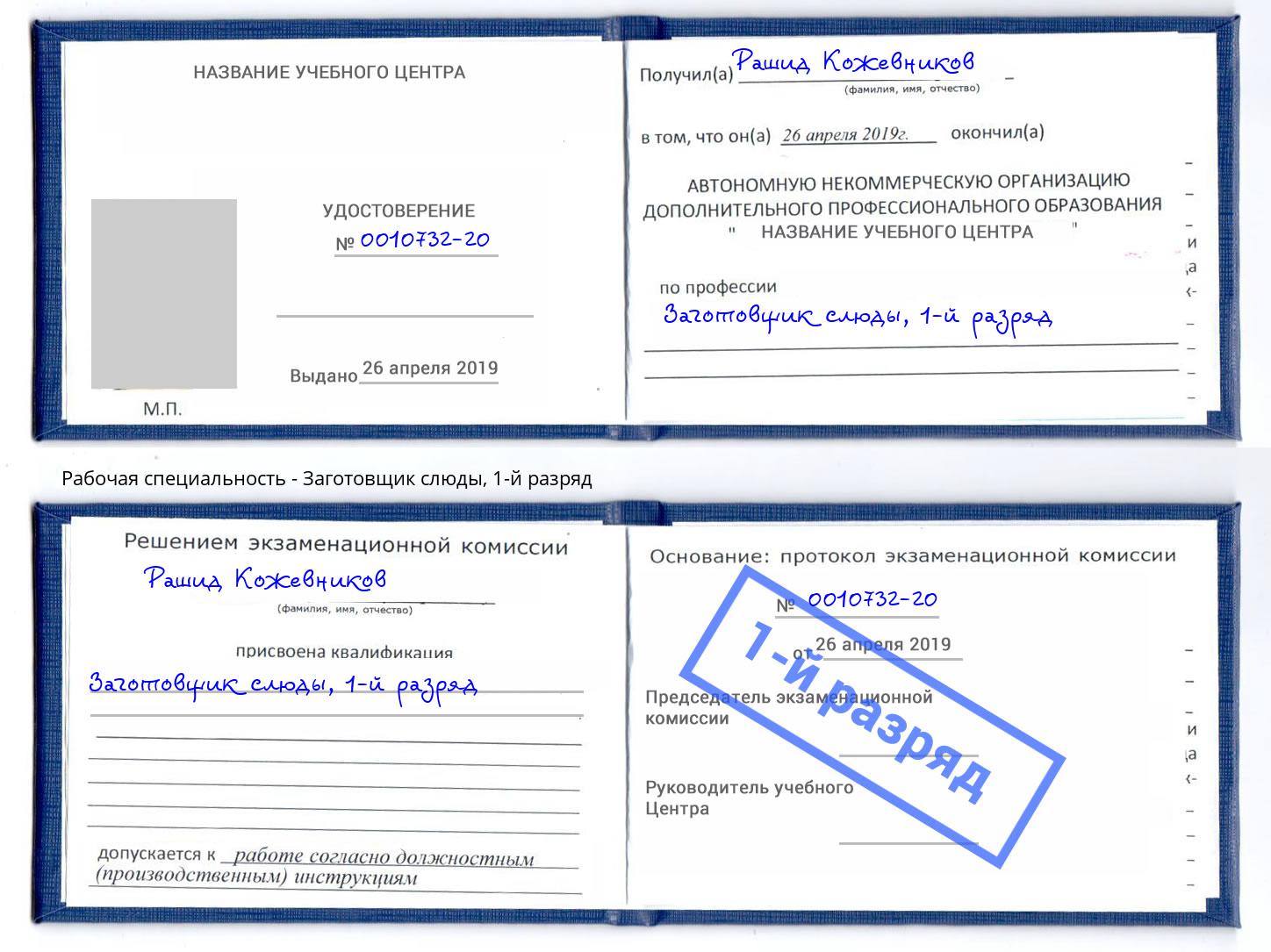 корочка 1-й разряд Заготовщик слюды Выкса
