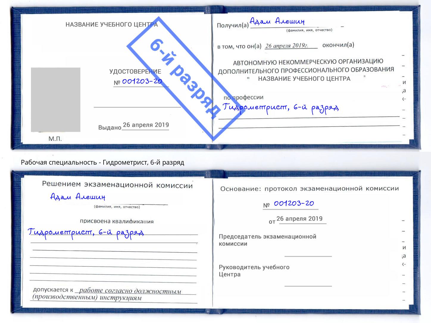 корочка 6-й разряд Гидрометрист Выкса