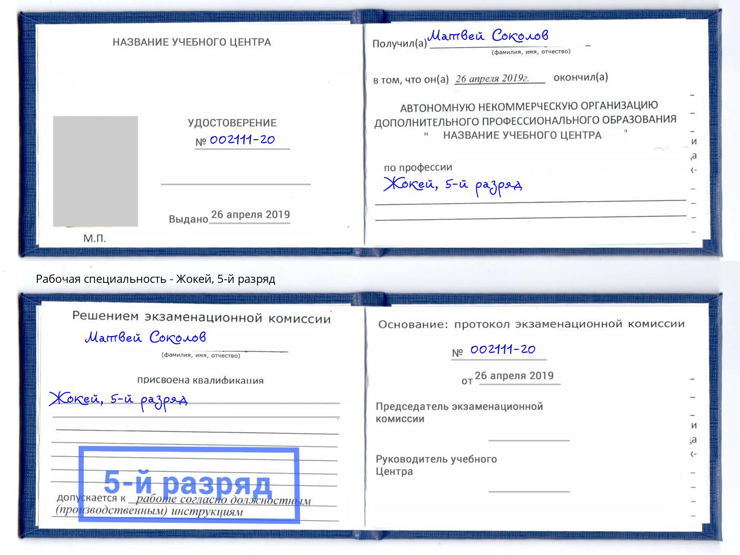 корочка 5-й разряд Жокей Выкса