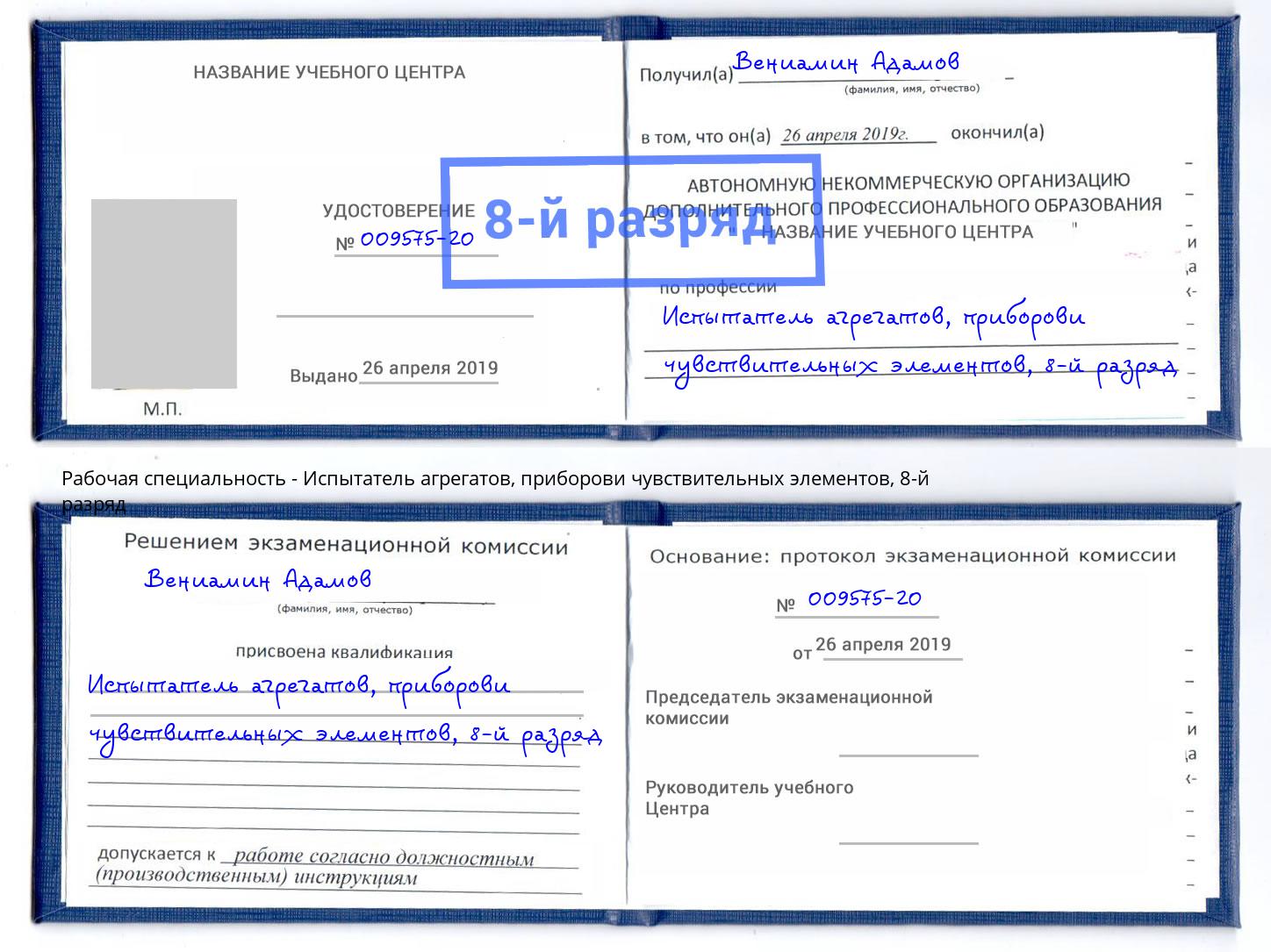 корочка 8-й разряд Испытатель агрегатов, приборови чувствительных элементов Выкса